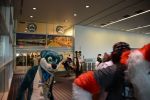 DSC_7950.JPG